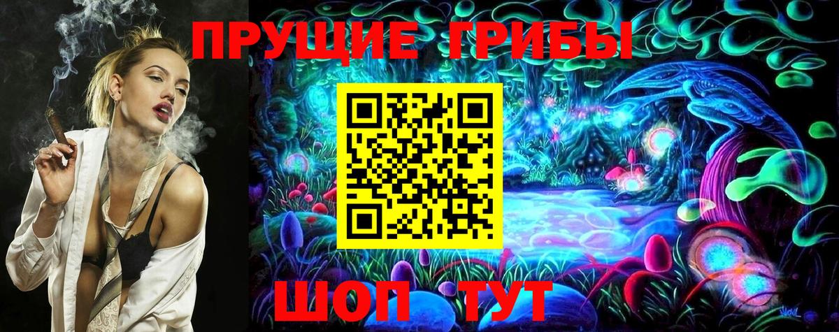 Псилоцибиновые грибы Psilocybe Зеленокумск