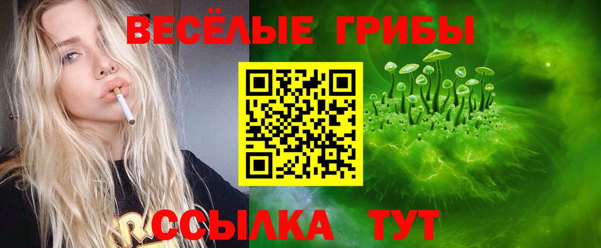 Зеленокумск  Псилоцибиновые грибы MAGIC MUSHROOMS  Вход с VPN 